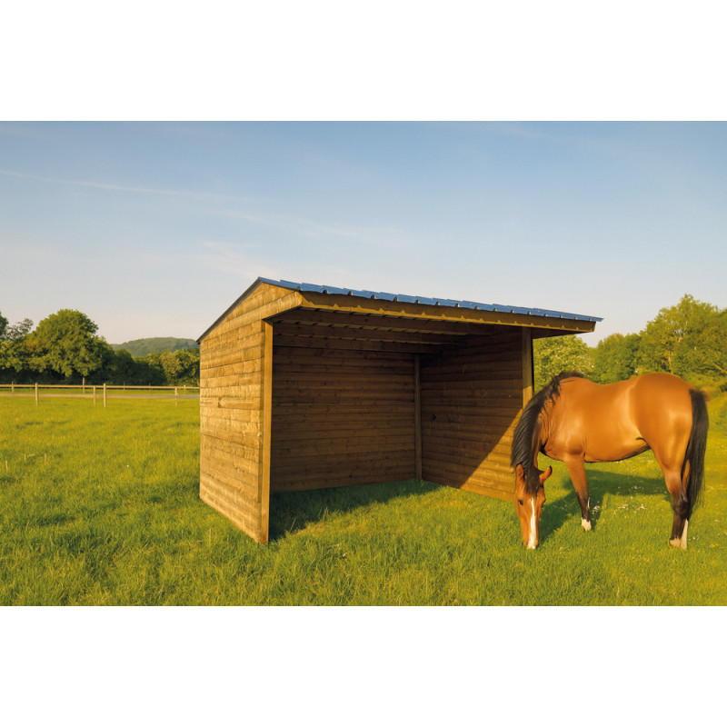 Abri pour cheval 4 x 2,92 x 2,77 m SOLID