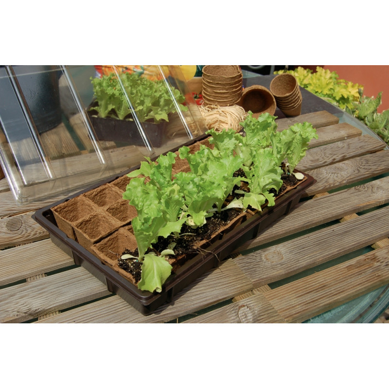 Mini serre avec plaque de culture Growing Kit NORTENE