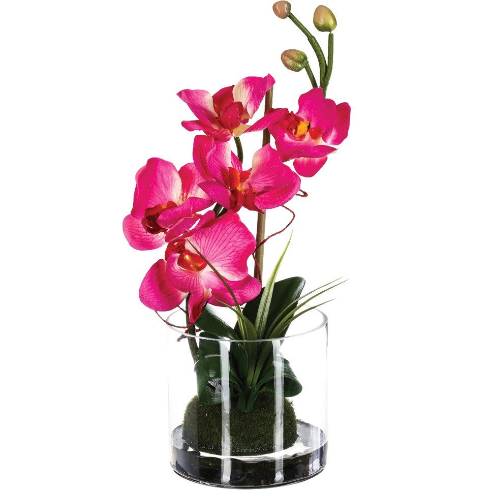 Sztuczny storczyk w szkle, 37 cm