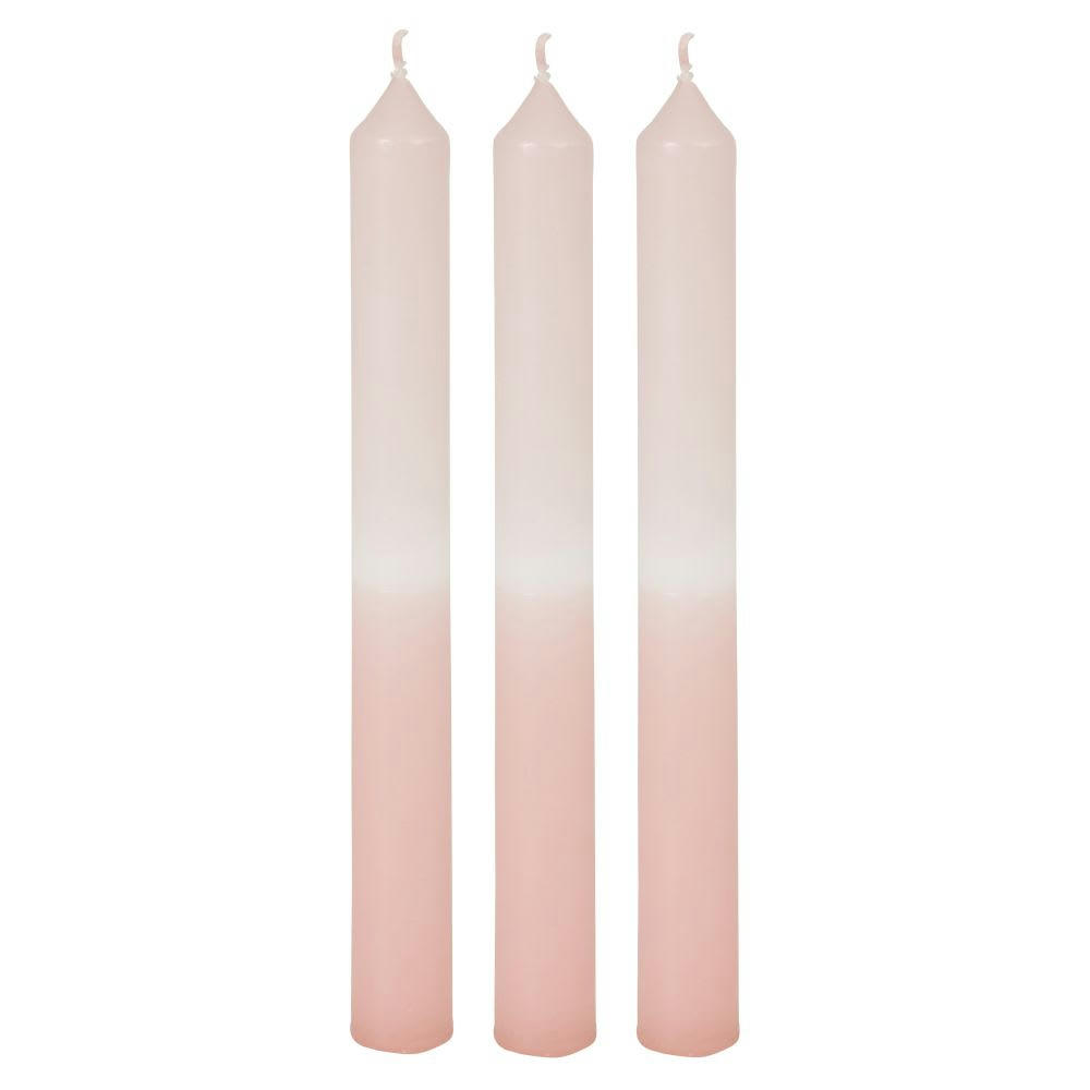 DAISY - Bougies longues roses (x3) H20