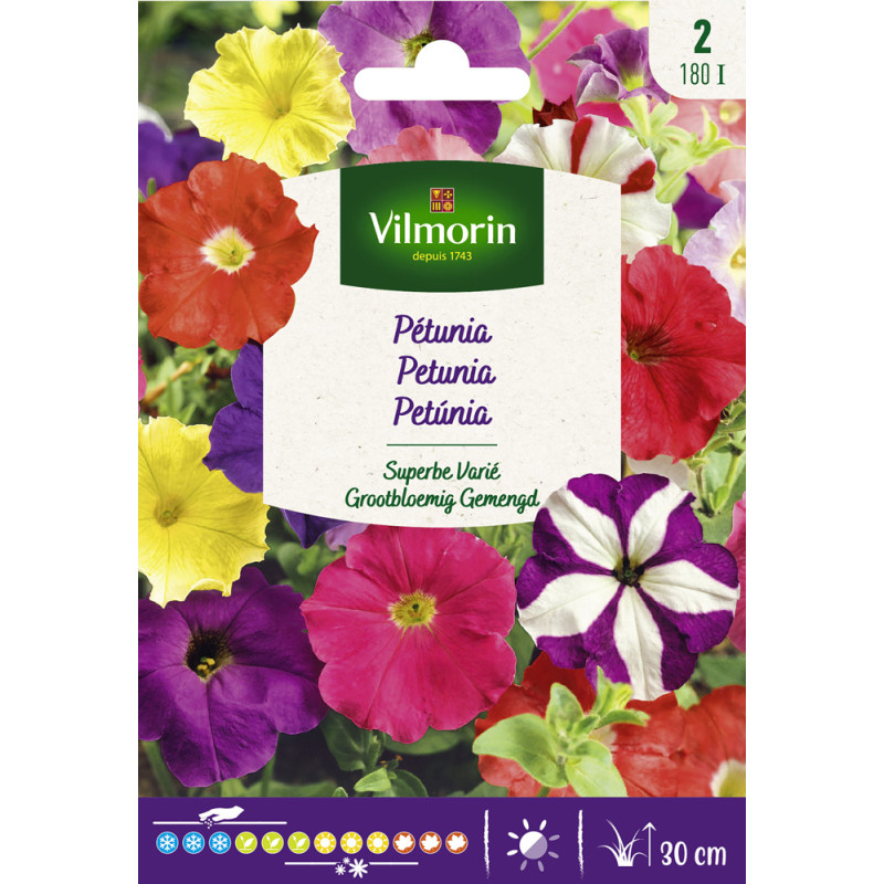 Semences de pétunia Superbe varié VILMORIN