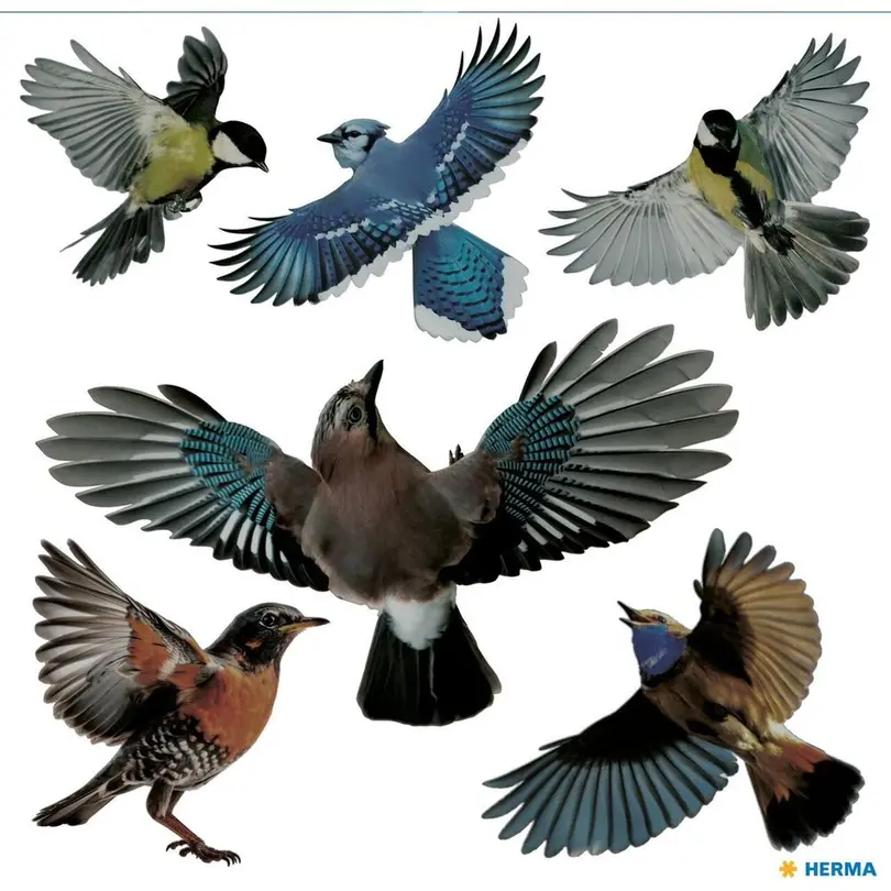 Fensterdeko 6er-Set Warnvögel