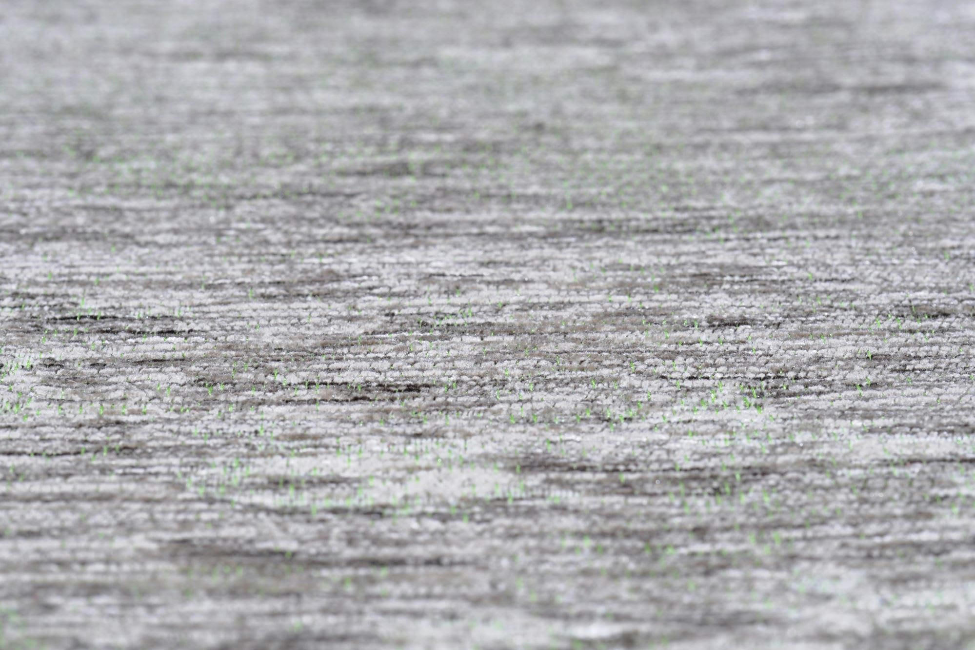 HERITAGE - Tapis moderne brillant tissé machine Vert clair 190x290 cm