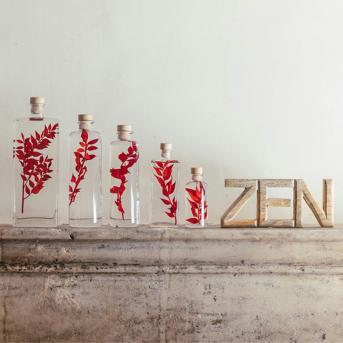 HERBARIUM DE THEOPHILE - Plante immergée Ruscus rouge