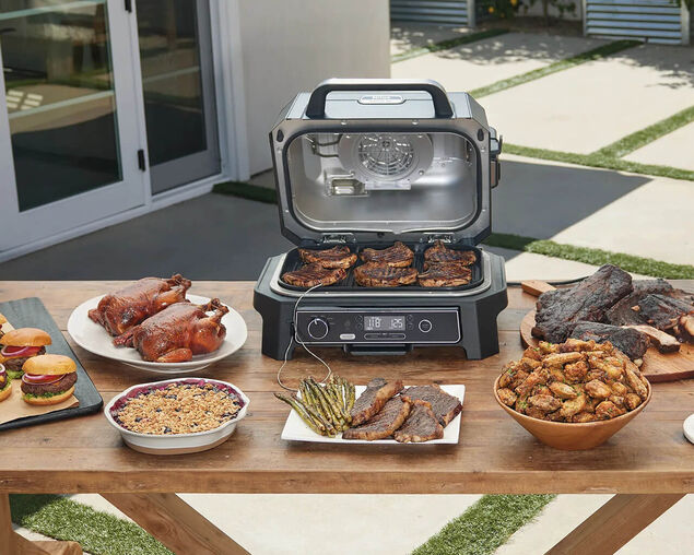 Ninja Woodfire Pro XL Outdoor Electric BBQ Grill & Smoker