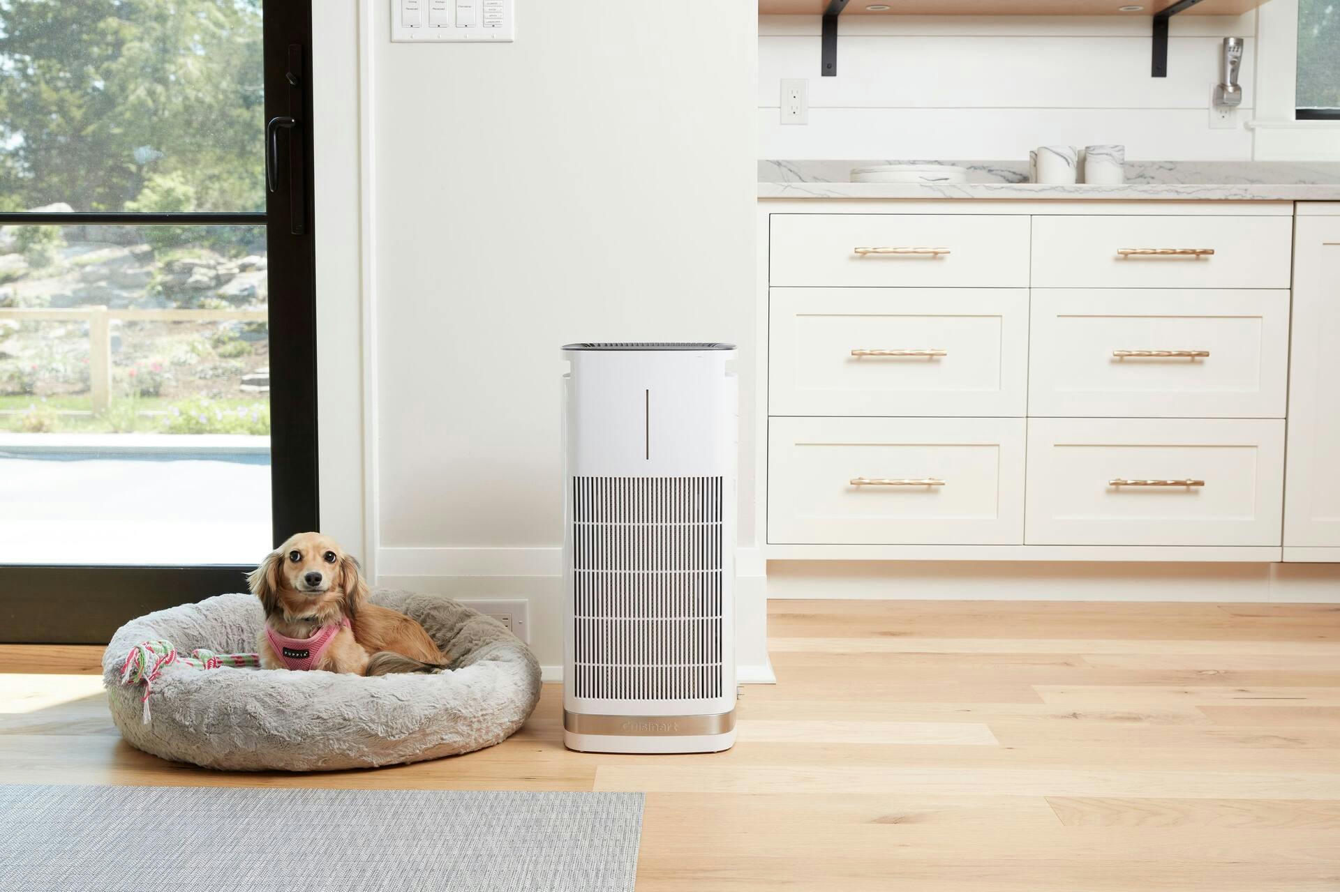 Cuisinart Air Purifier 1000 with Bonus Filter