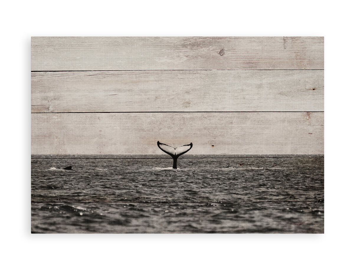 Really Nice Things - Paneel - 60x40 cm - Whale in Sea