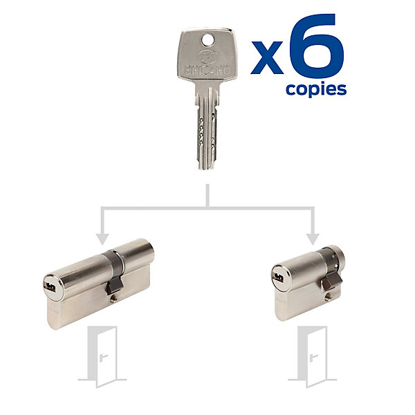 2 cylindres débrayables Bricard 30x40/30x10 mm avec 6 clés