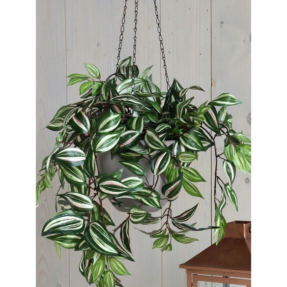 Kunstpflanze, Tradescantia, Höhe: 25 cm