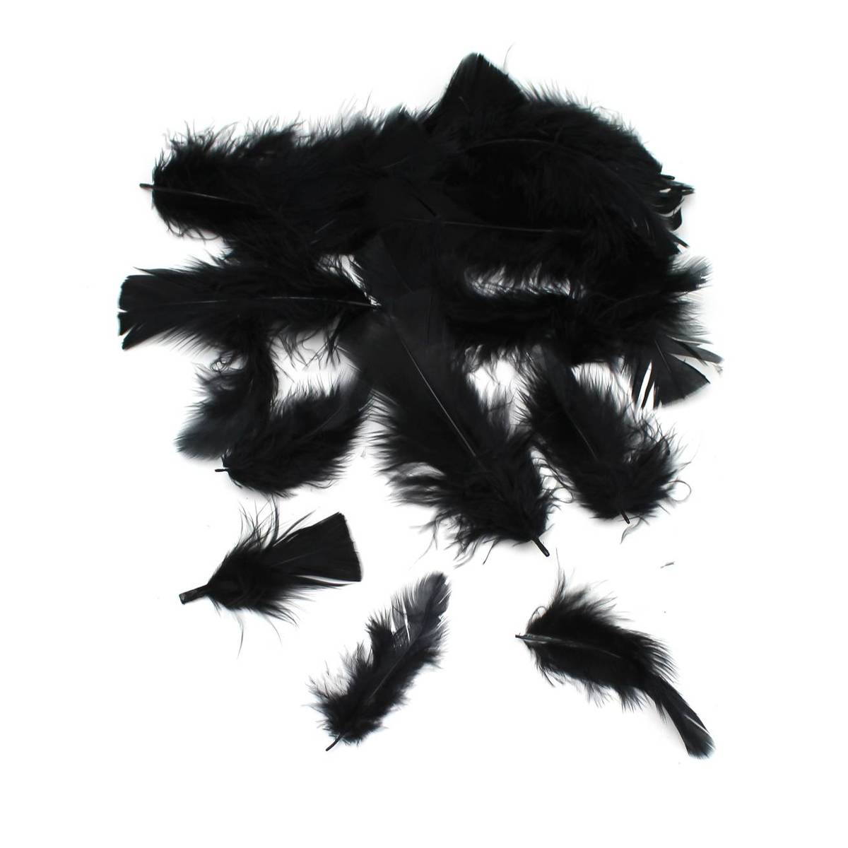 Black Craft Feathers 5g