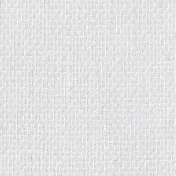 Fibre de verre maille/tissage à peindre 135g/m² L.25m (vendu au rouleau) Diall