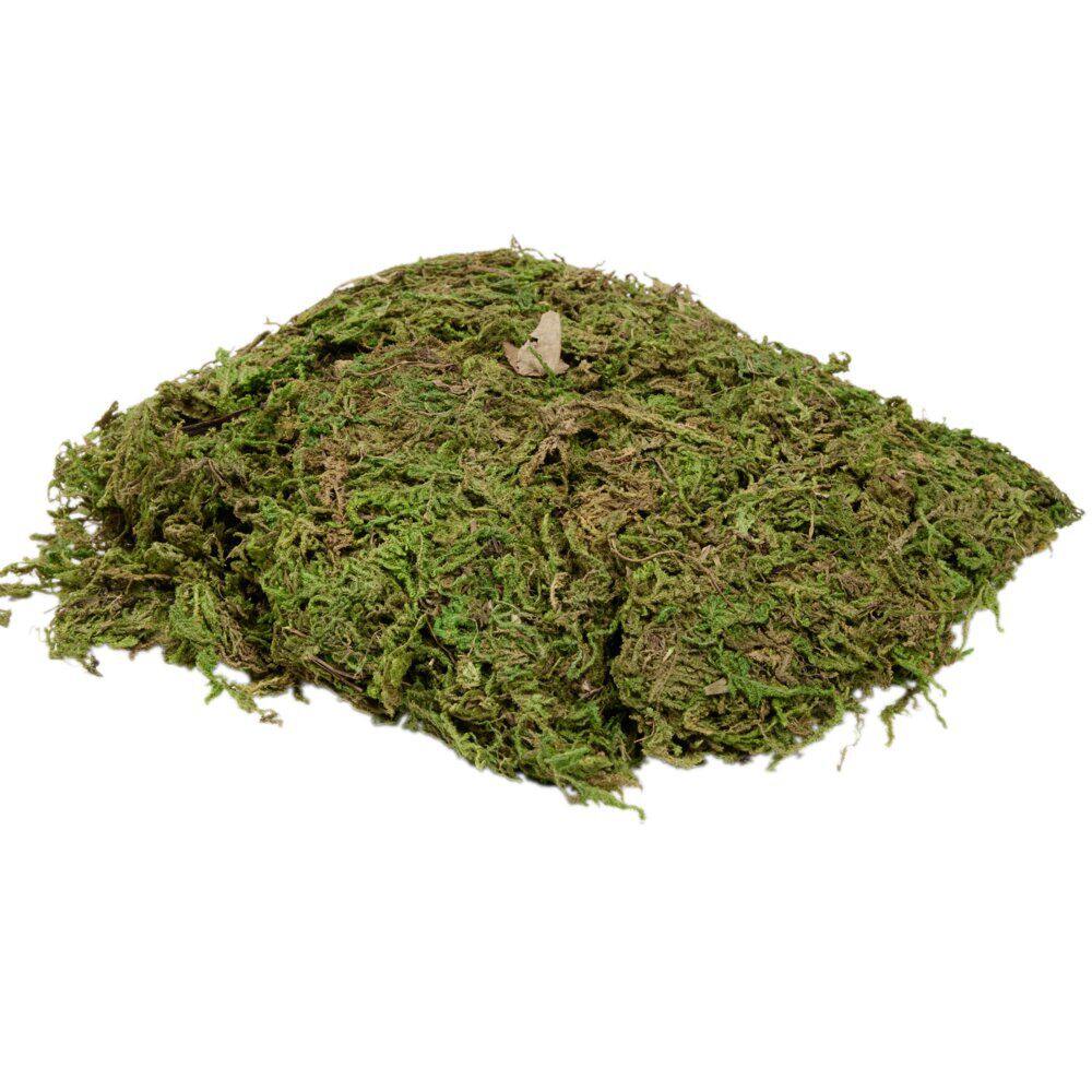 Mousse pour crèche de No&euml;l vert 50g