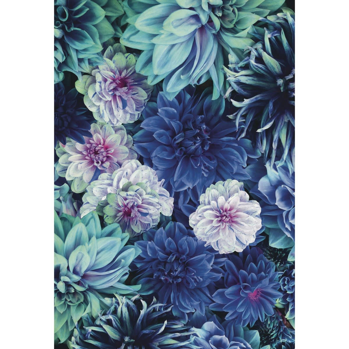 DAHLIA BLEU - Papier peint panoramique motif floral Multicolore 192x280cm