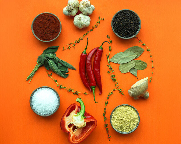 Lanes BBQ - Nashville Hot BBQ Rub