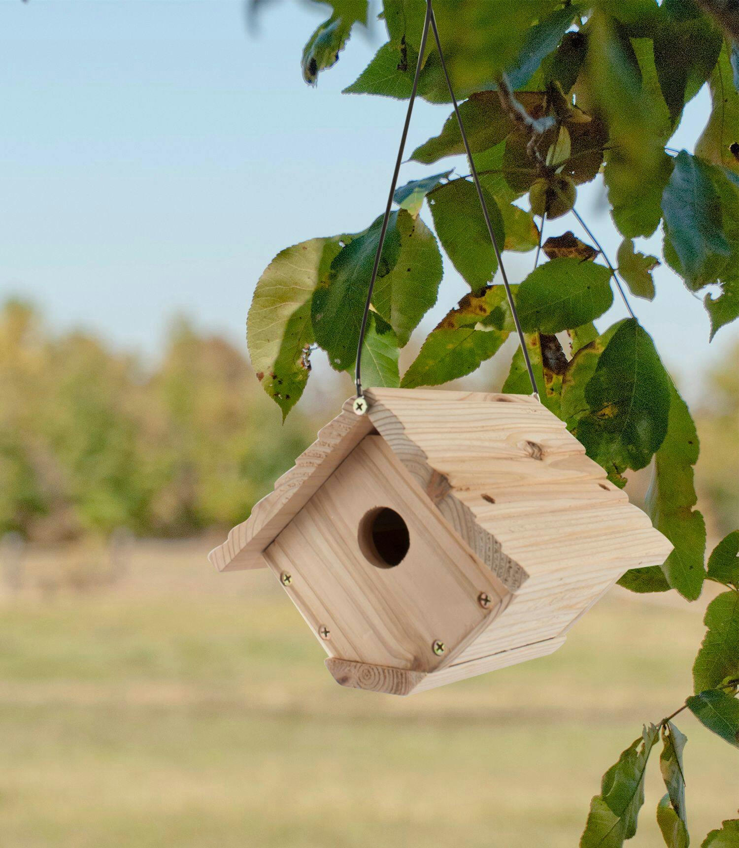 Panacea Wren Modern Wooden Bird House, 6.8 x 7.13 x 6.25-in