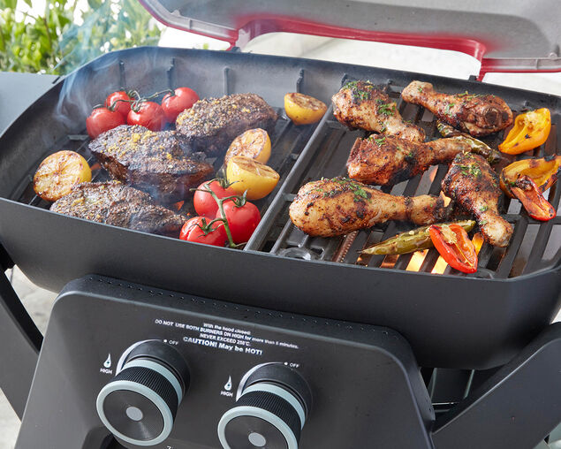 Ziggy Elite Twin Grill Natural Gas BBQ - Gunmetal Grey