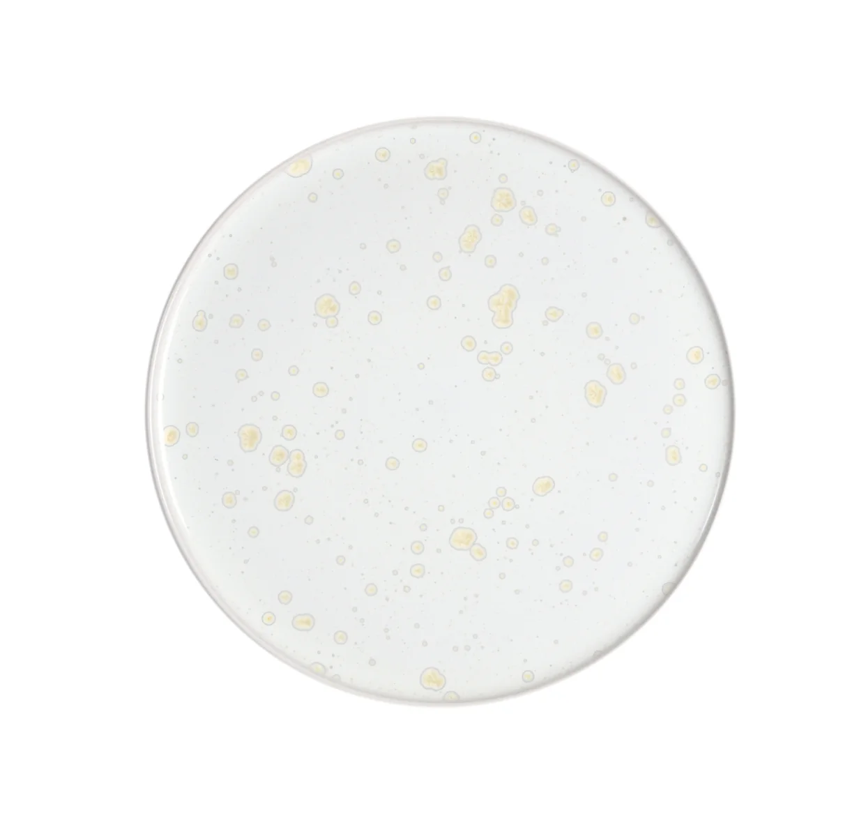 assiette de présentation nacre