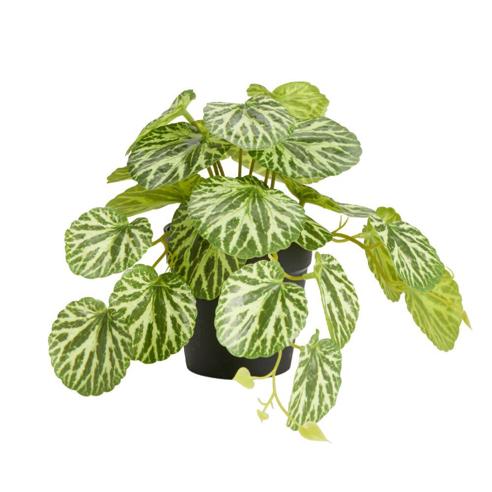 Plante verte artificielle pot noir H17cm - 2 modèles