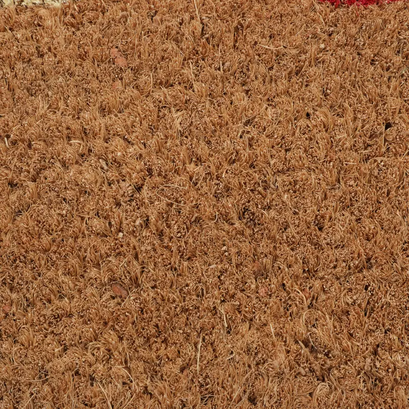 Fussmatte Kokos