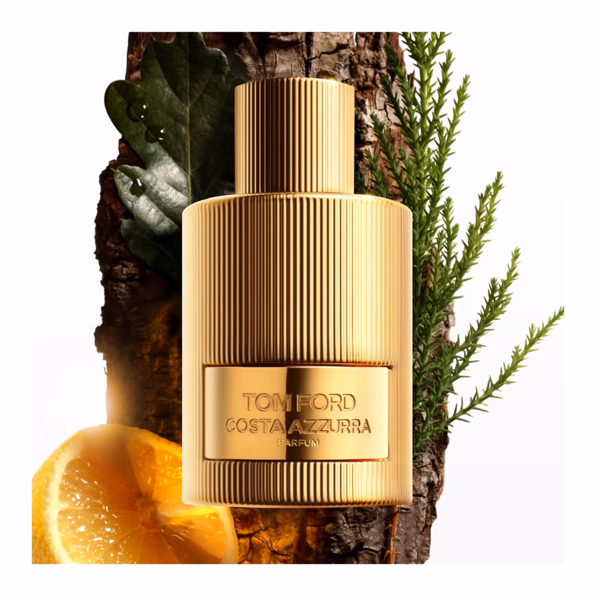 COSTA AZZURRAParfum