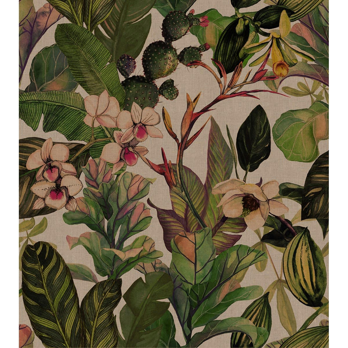 BRASILI - Papier peint panoramique en papier vert foncé 240x270