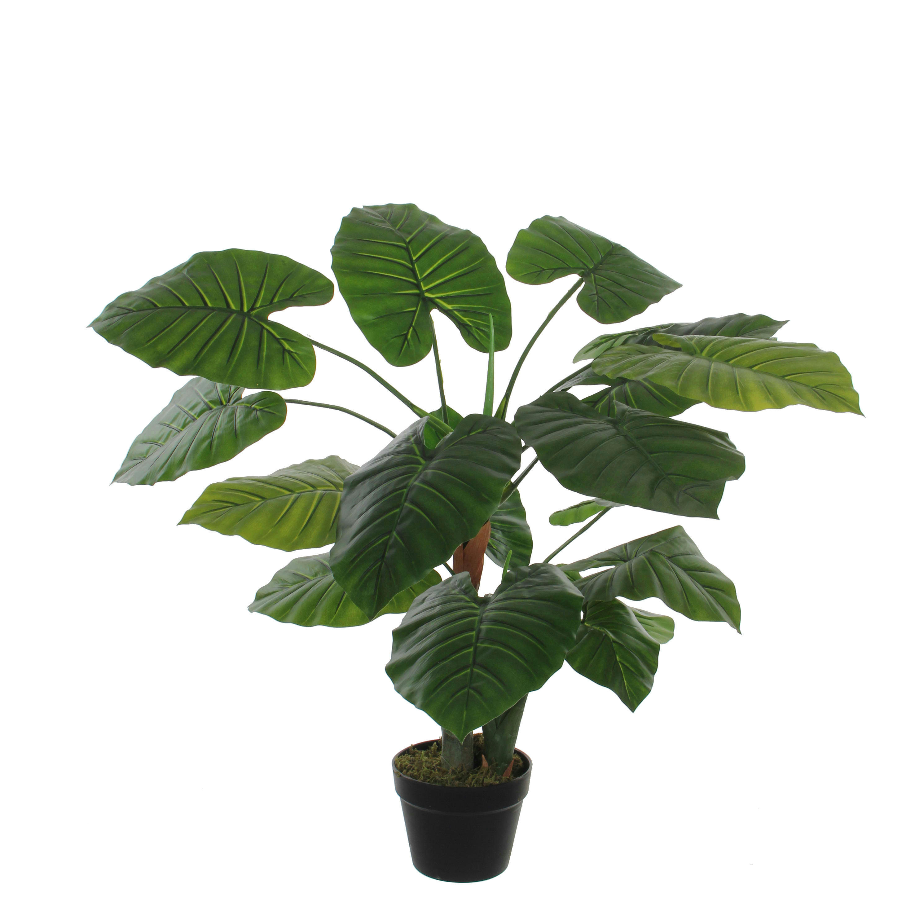 - Taro artificielle vert en pot H90