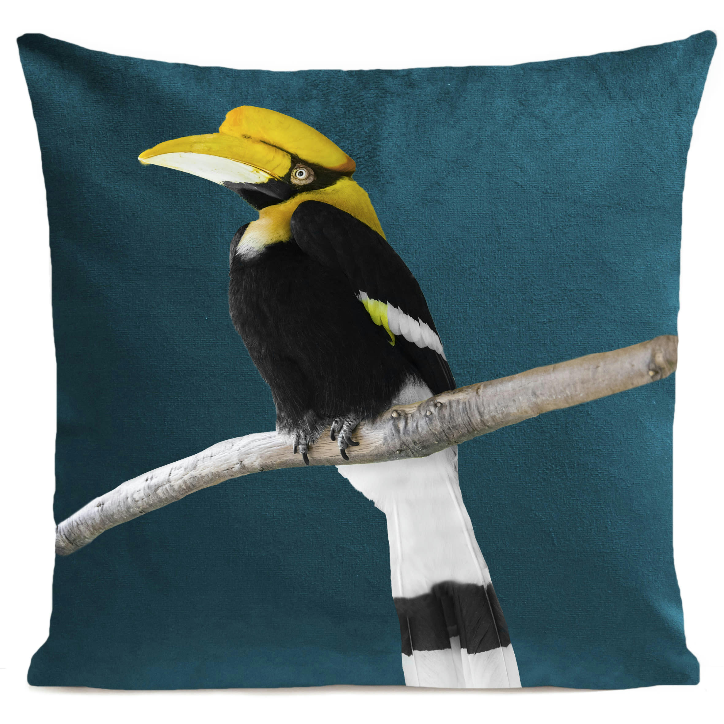 - Coussin tropical oiseau calao suédine vert 40x40cm
