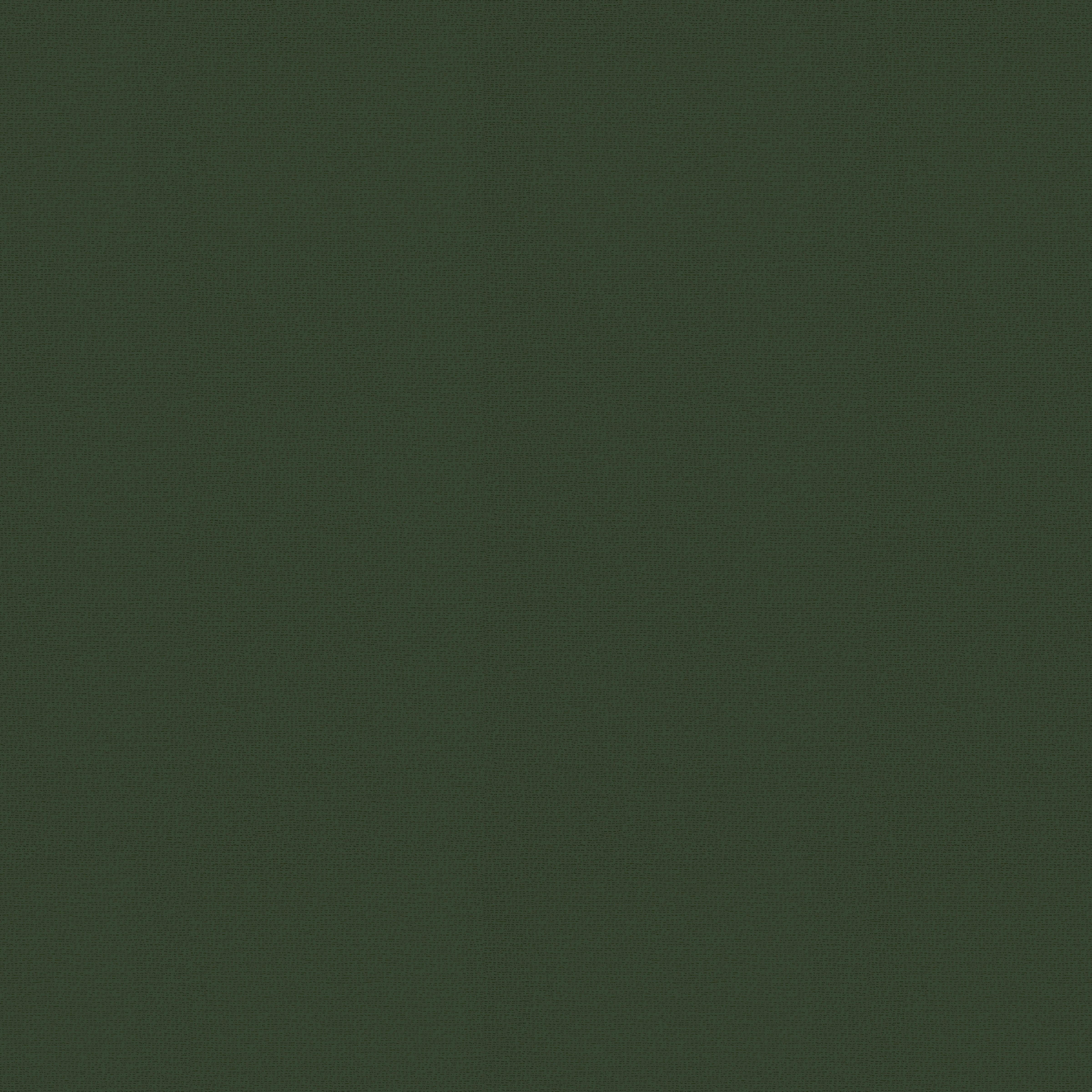 - Papier peint intissé uni feuilles élégance vert 1005x52cm