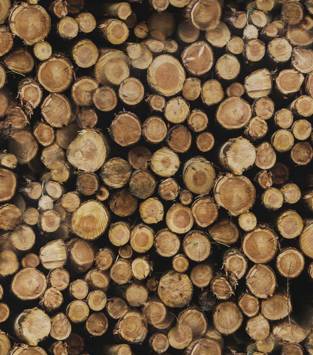 David Textiles Lumber on Black Novelty Cotton Fabric