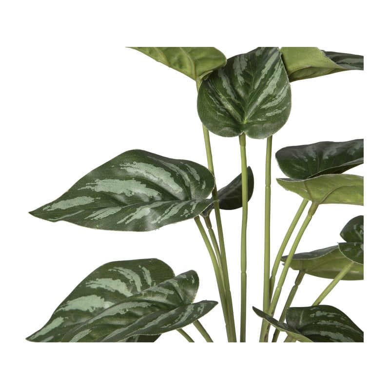 Kunstplant syngonium - 36 cm