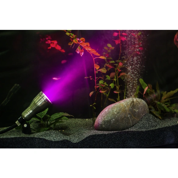 Spot »Smart Light«, Integrierte LED, RGB (mehrfarbig), 3 W