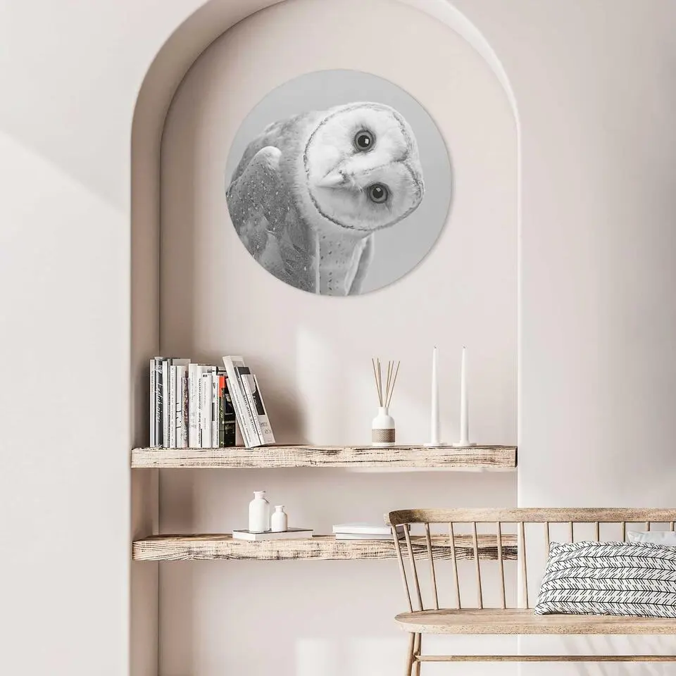 Plexiglasschilderij Kerkuil - &Oslash; 50 - Zwart-Wit