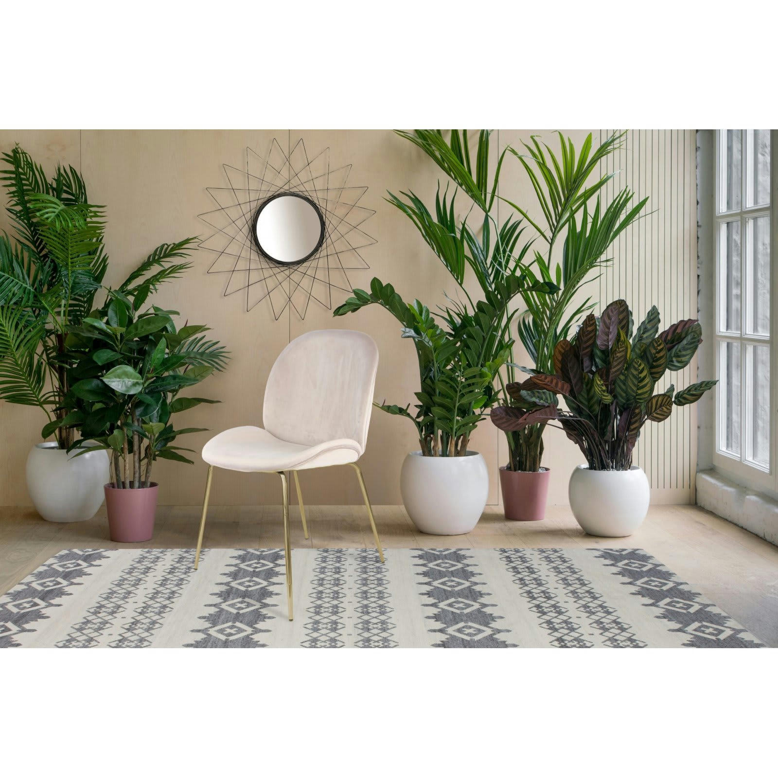 CHARLIZE - Chaise Velours Beige H. assise 47 cm