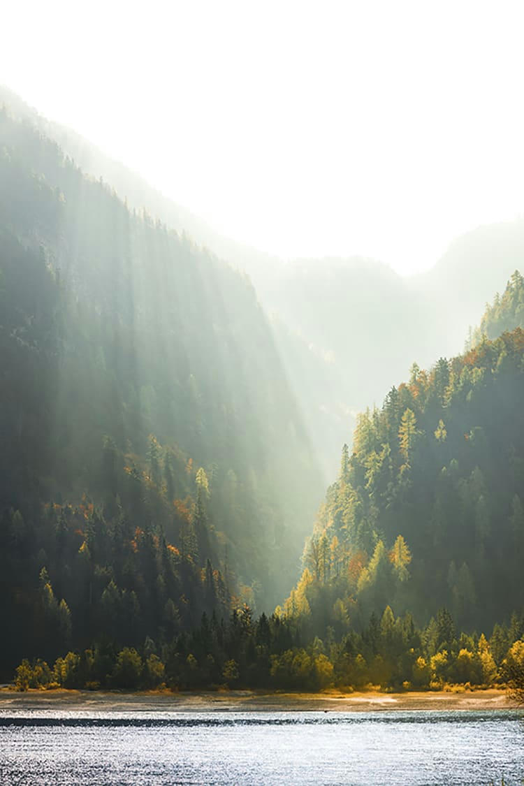 BRUME MATINALE - Photographie d'art d'Hugo Grandcolas 30x40 cm sur alu