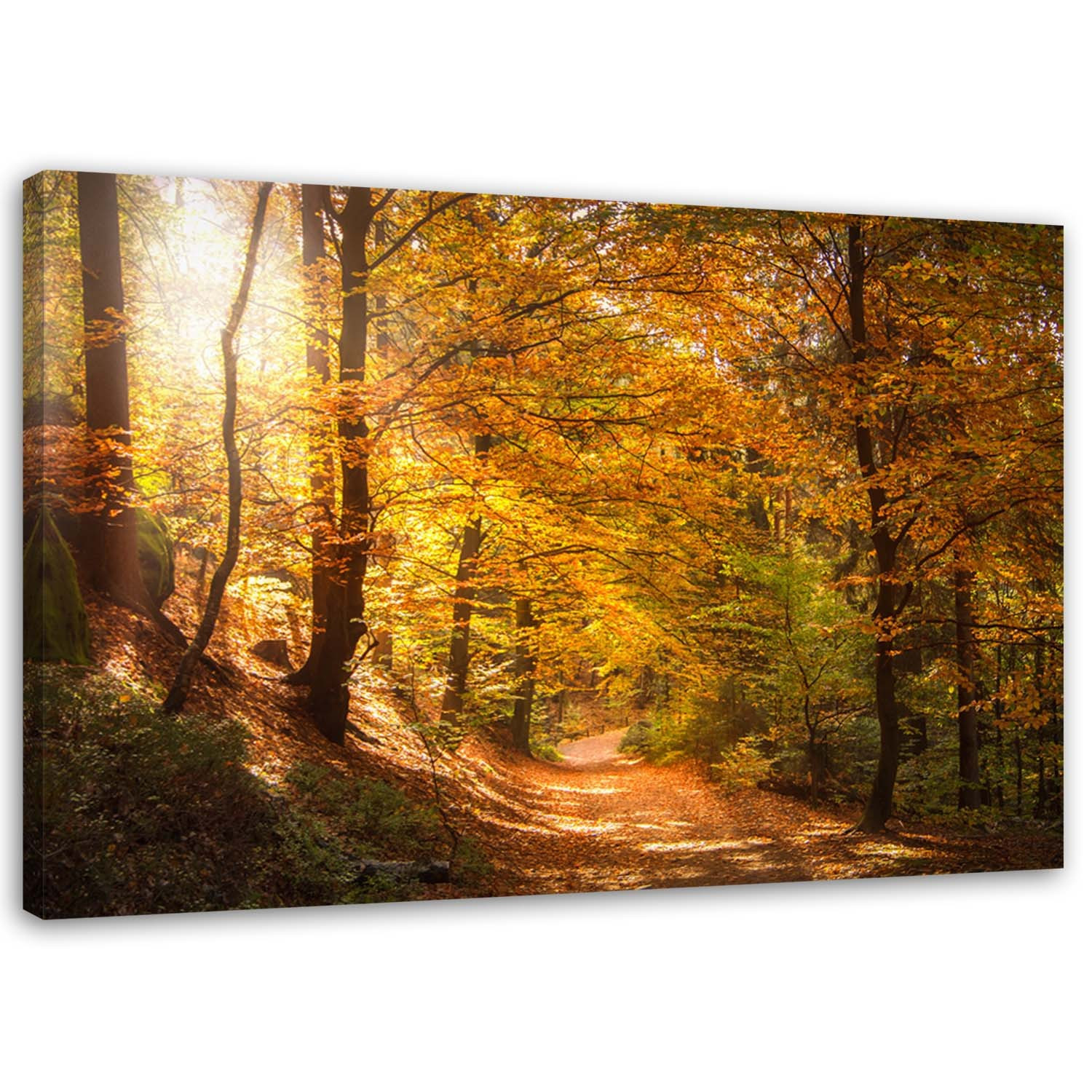 Feeby Obraz na płótnie Las jesienny pejzaż 60x40