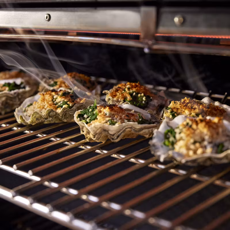 Weber Summit® FS38 E Gas Grill (Liquid Propane)