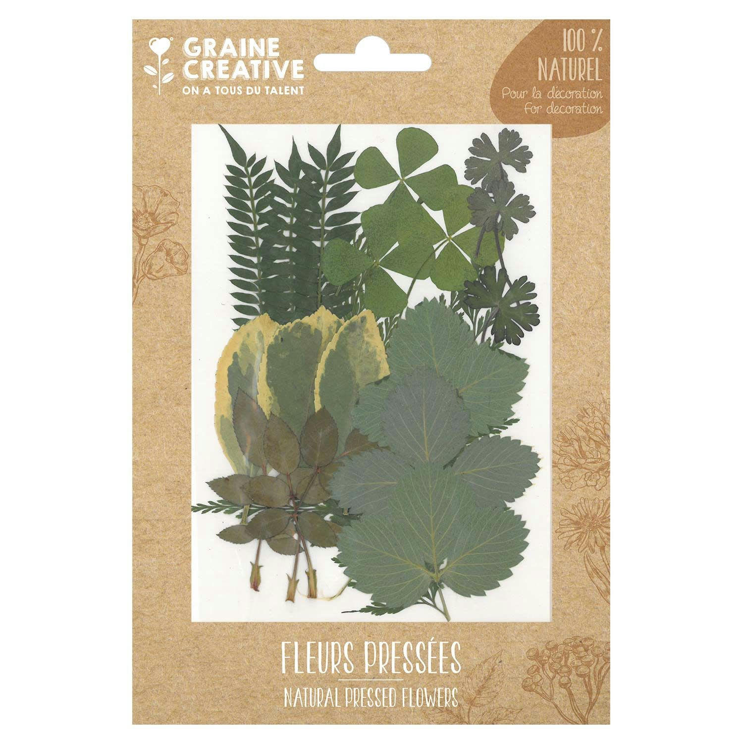 - 21 fleurs pressées - forêt 2