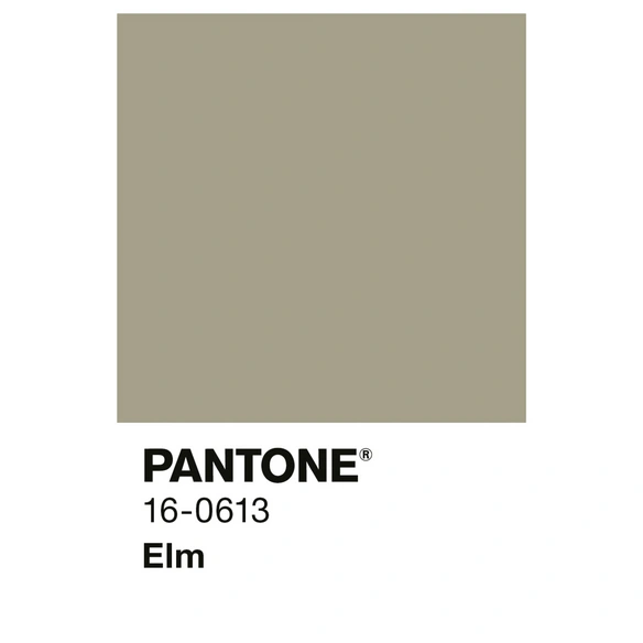 Wandfarbe »PANTONE«, Elm, matt, 2,5 l
