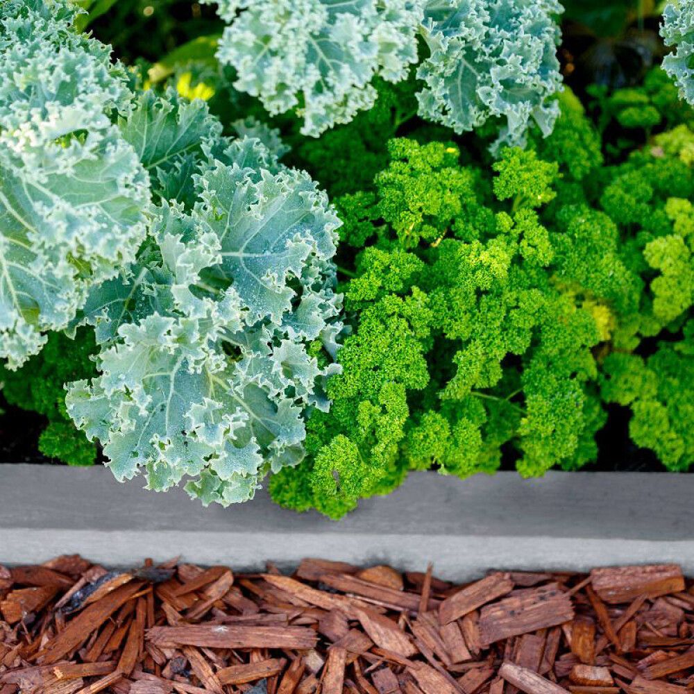 URTE- & GRØNNSAKSJORD HASSELFORS GARDEN 15L