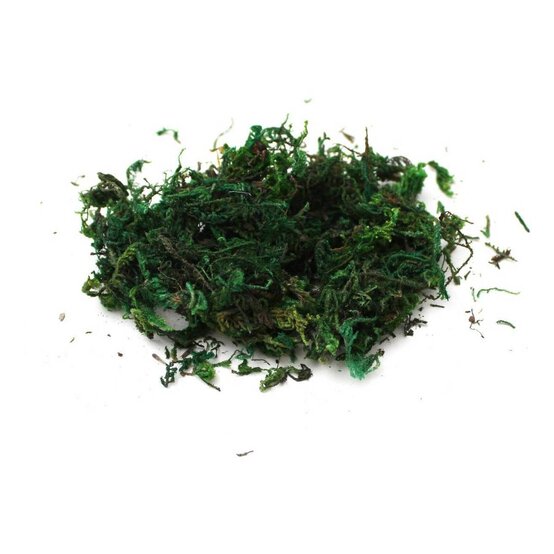 Green Moss 40g
