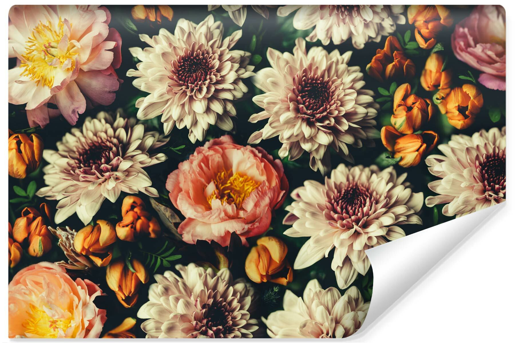 Fototapeta w Stylu Retro KWIATY Piwonie 3D 90x60cm