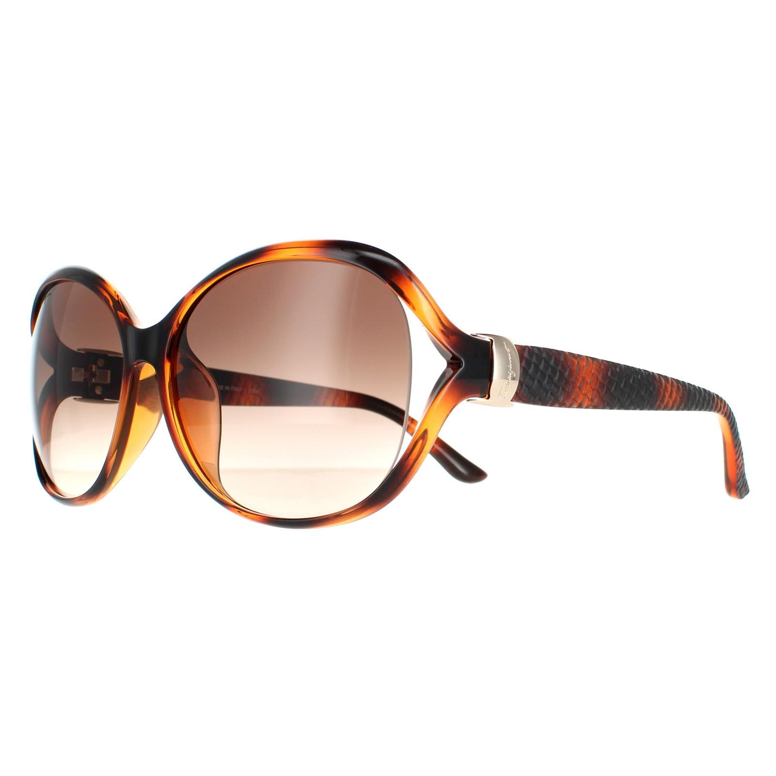 Salvatore Ferragamo Oval Tortoise Brown Gradient SF770SA