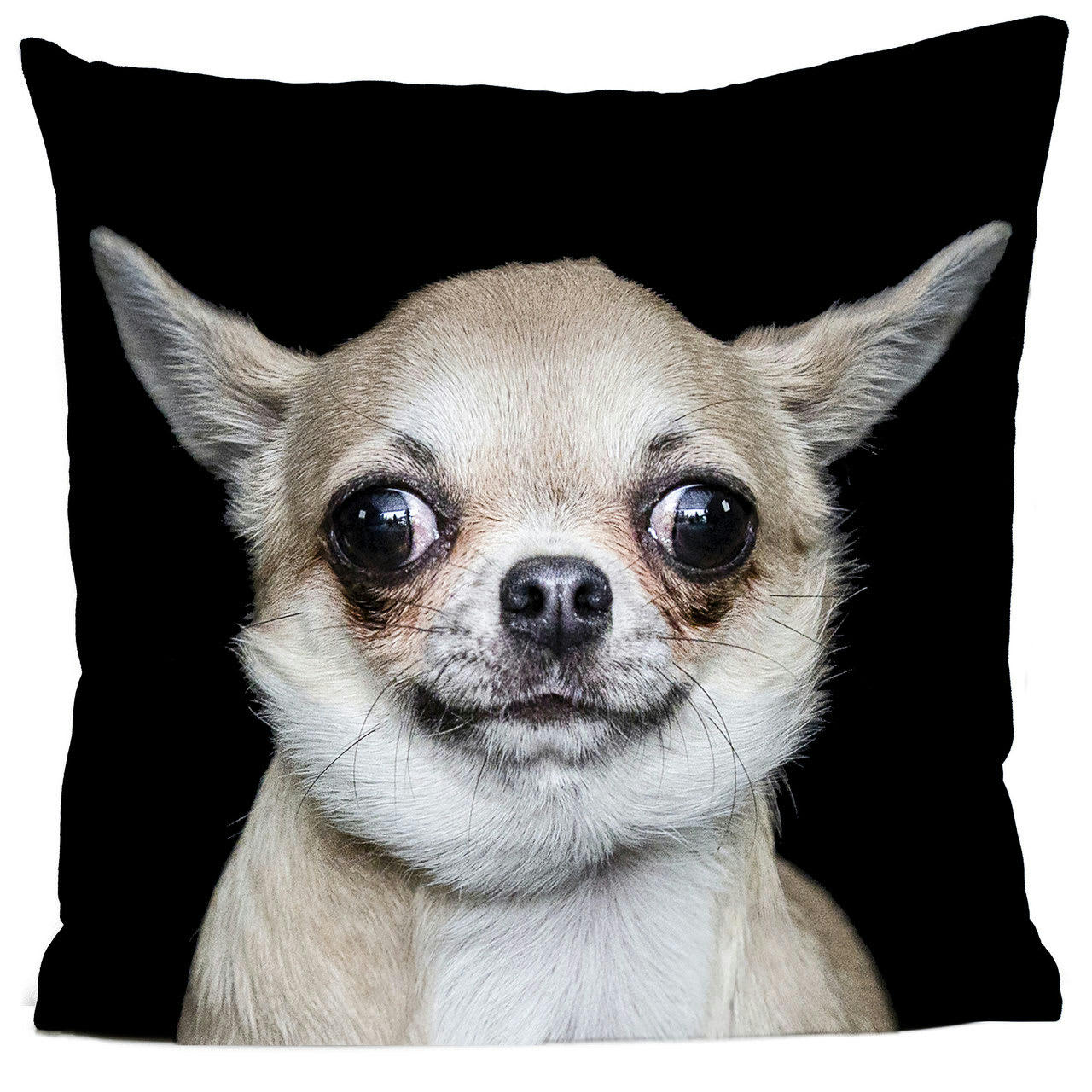 - Coussin chien chihuahua suédine noir 40x40cm