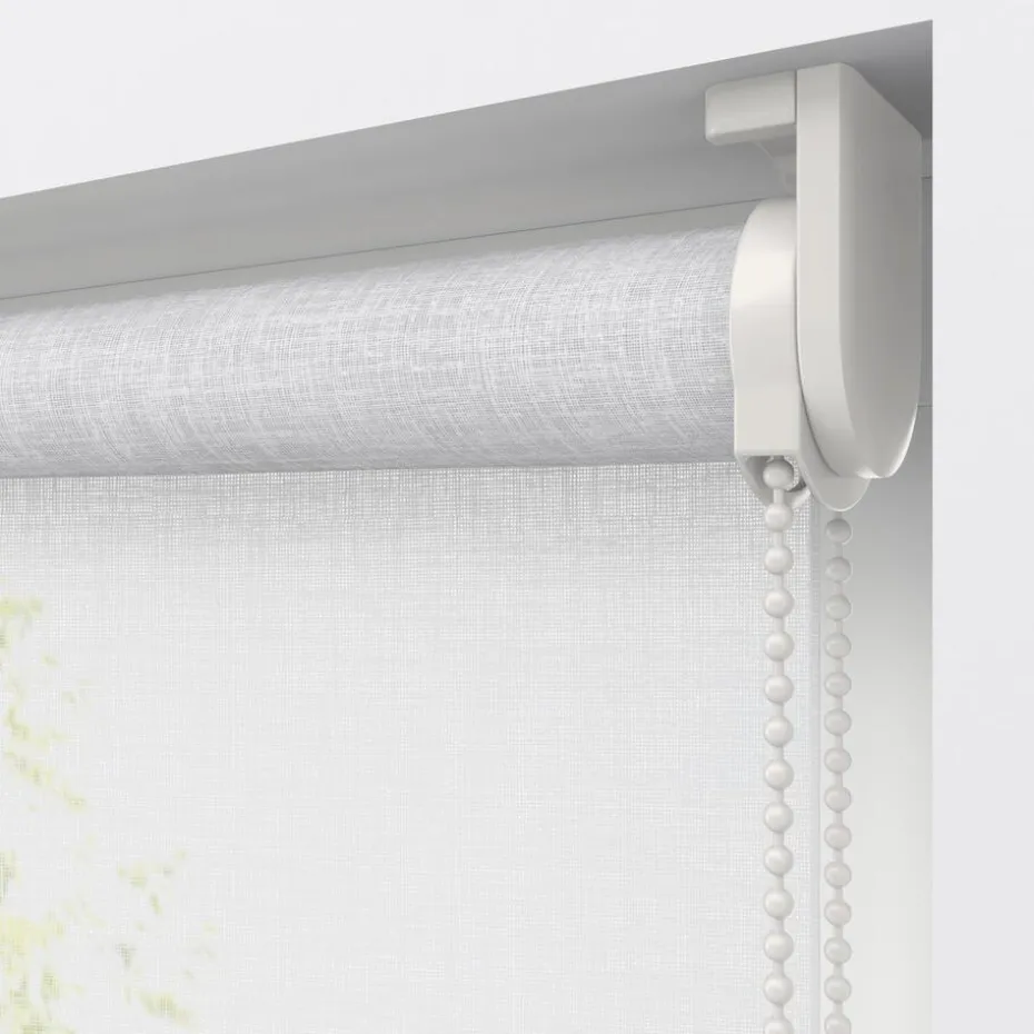Kwantum Rolgordijnen | Fenstr Rolgordijn Febe  Transparant Wit