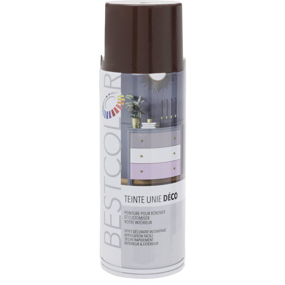 Peinture intérieur extérieur marron chocolat 400ml