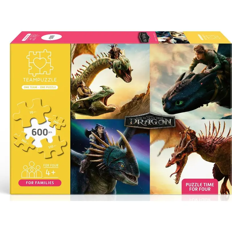 Puzzle Drachenzähmen leicht gemacht