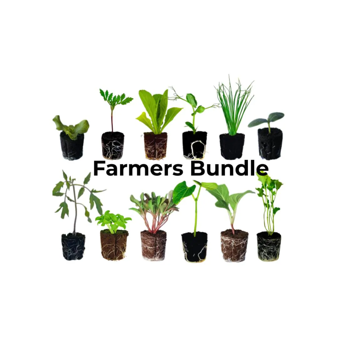 Farmers Bundle: Ready-to-plant seedlings, Starts, Plugs, Garden ready, Live plants, Transplants, Pre-sprouted, For soil & hydroponic gardens