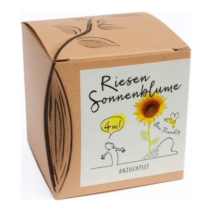 Blumentopf 4-teilig Riesensonnenblume