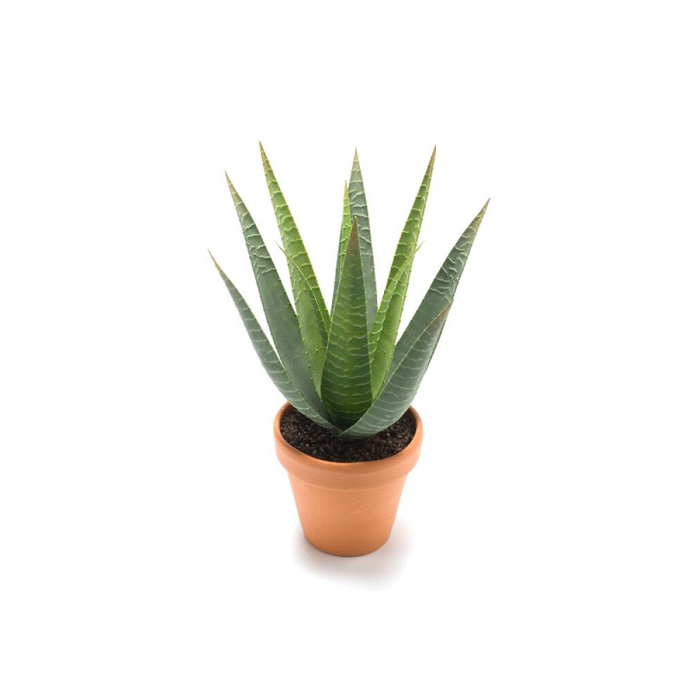 KUNSTPLANTE EMERALD ALOE VERA