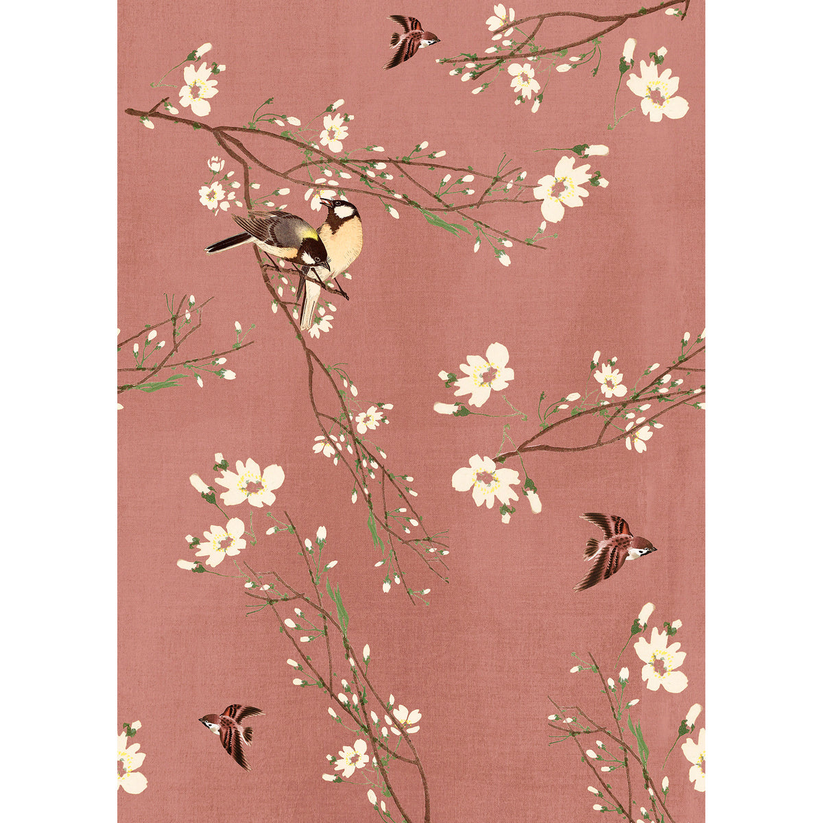 Superfresco Easy Fotobehang - Birds & Blossom - 200x280